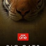 دانلود سریال Big Cats